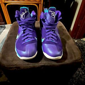 Nike Lebron 9 Summit Lake